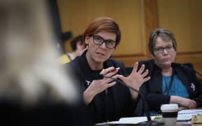 Green MP Jan Logie in committee