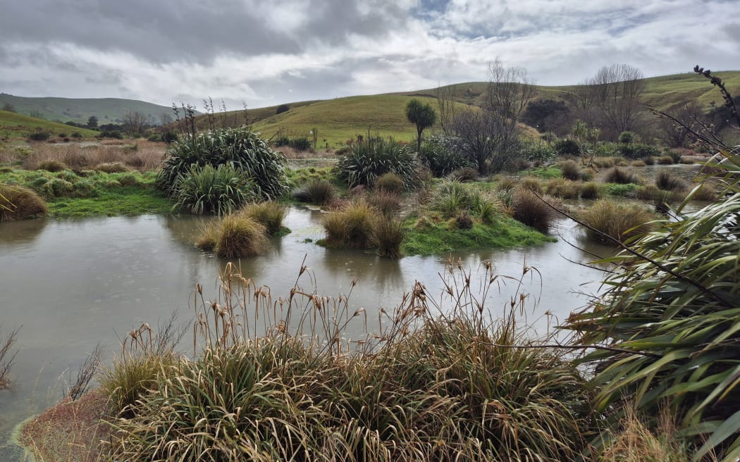 James Hunter is worried his wetlands and native bush is at risk of being destroyed by forestry pests such as deer and pigs.