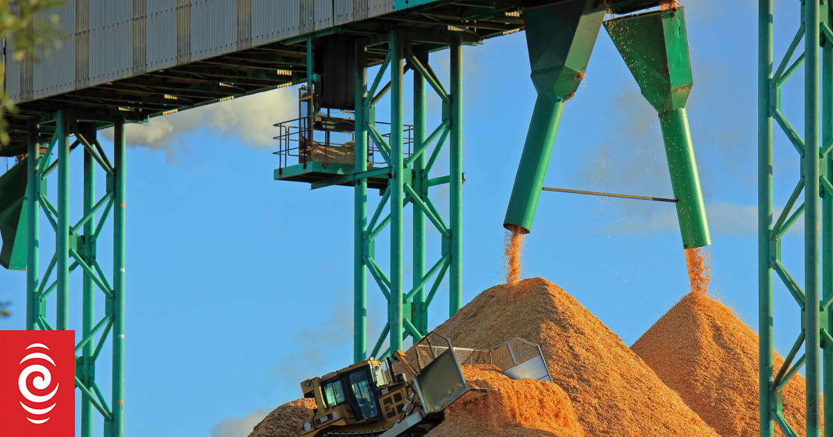 Kawerau paper mill workers' union to consider pay offer RNZ News