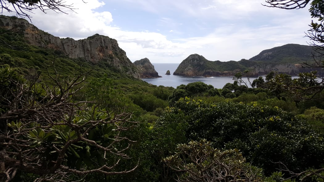 View across Aorangi Island to Tawhiti Rahi, in the Poor Knights group.
