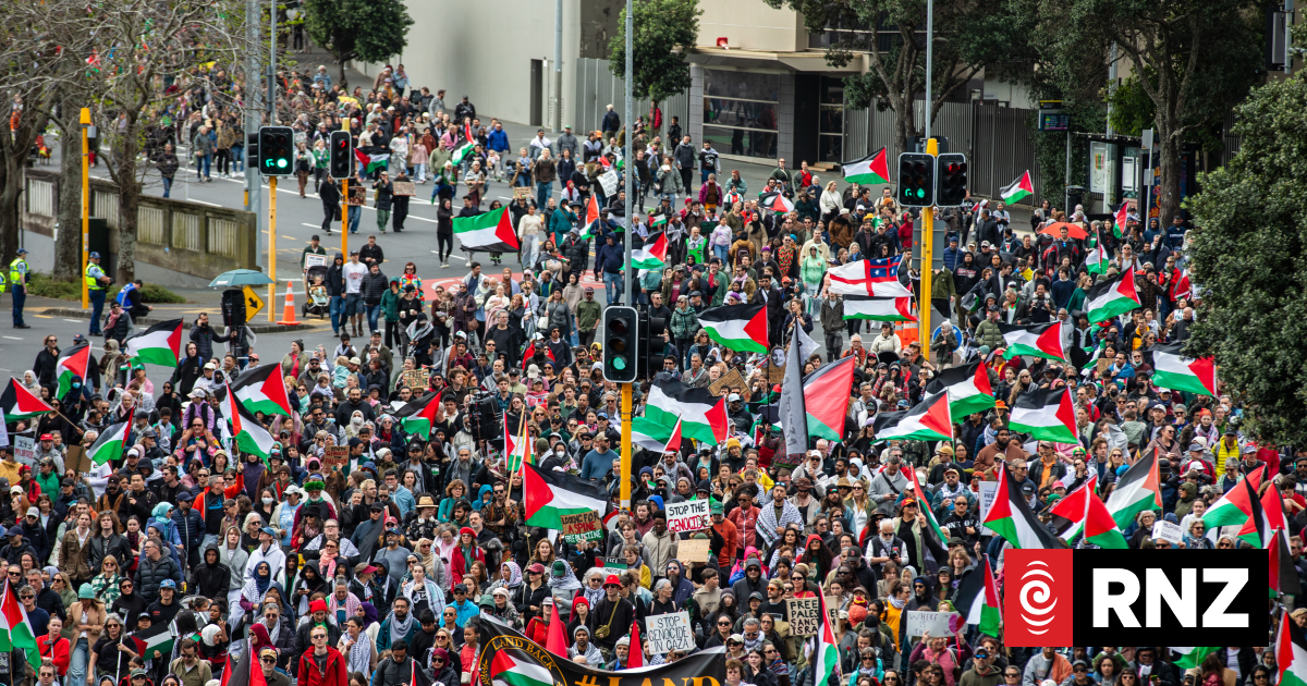Traffic delays expected in Auckland with two protests planned