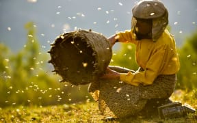 Hatidze Muratova, one of Europe's last wild beekeepers, in the film Honeyland.
