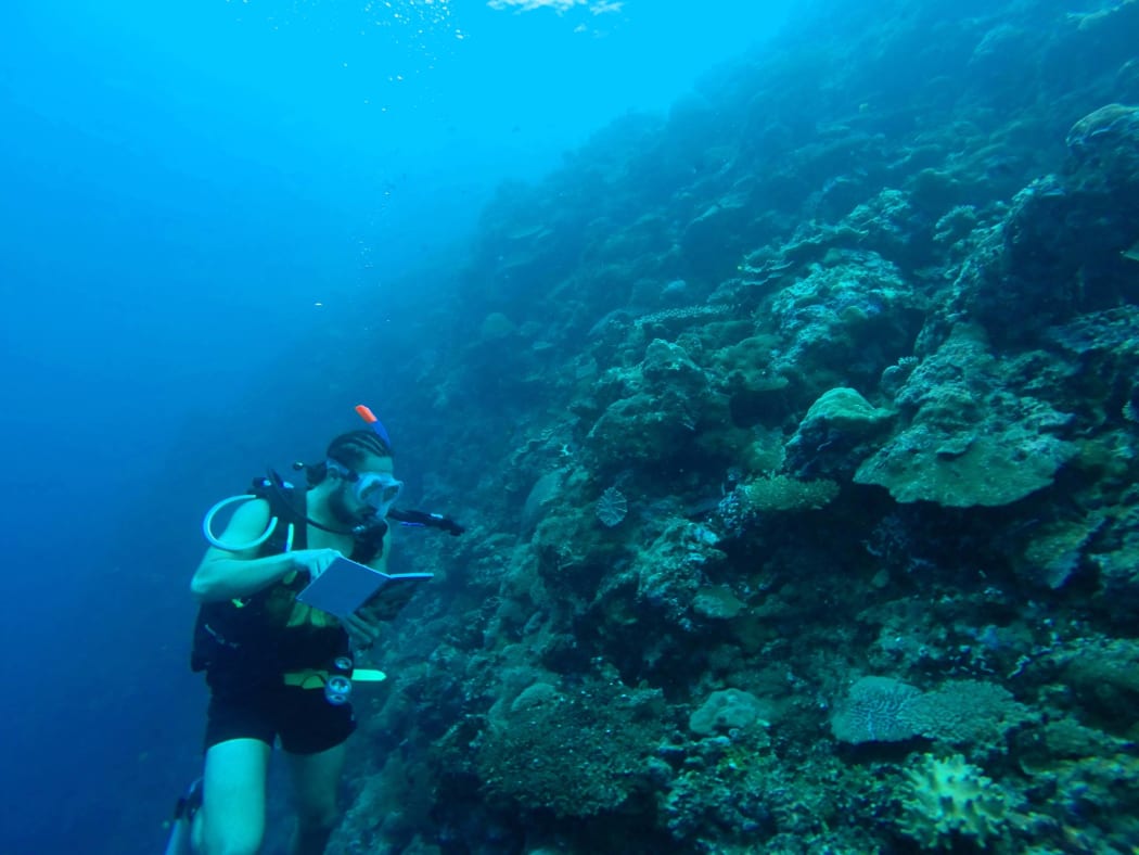 Antony Vavia identifying different substrate types in Coral in Solomon Islands.