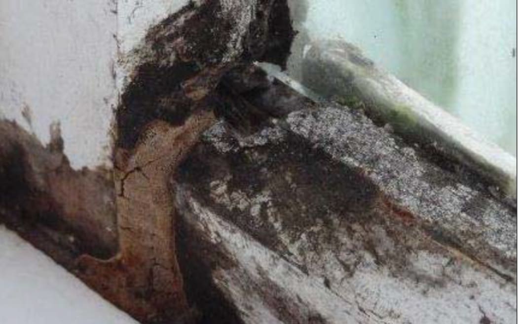 Decaying window sills and frames were found at the Porirua rental house.