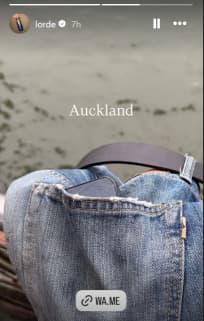 The image and WhatsApp link that Lorde posted to her Instagram stories on Wednesday afternoon, 28 May 2025.