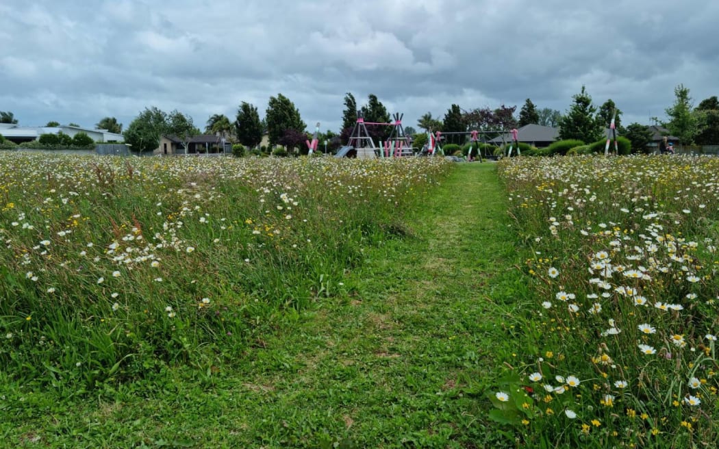 Mangaiti Park in Huntington.