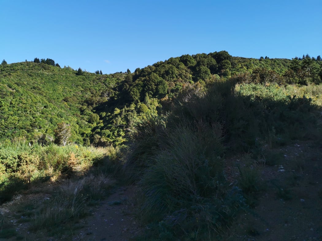 Ngāti Kahukuraawhitia wants to purchase 182 hectares by the Waiohine river in the Wairarapapa to build a papakāinga for their descendants to live on.