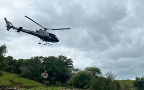 A helicopter lays fibre-optic cable inland from Gisborne after Cyclone Gabrielle.