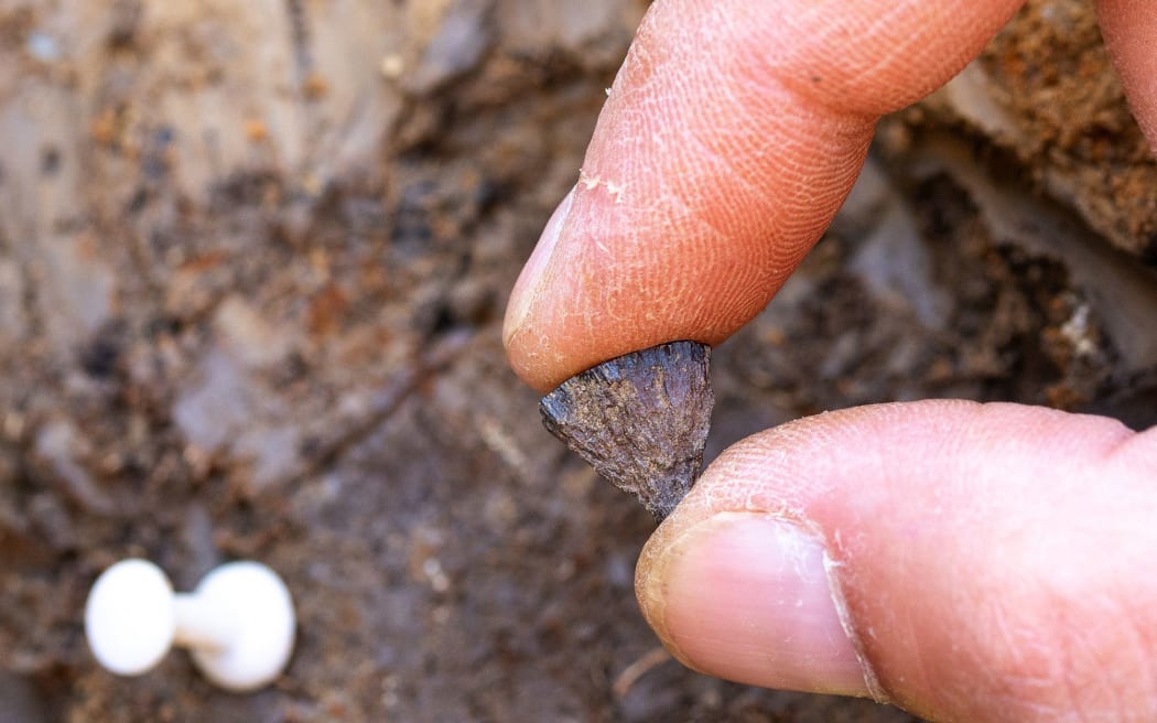 A fragment of iron pyrite was first discovered in 2017 at the site in Barnham, Suffolk.