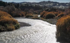 The Makaroro River, in Central Hawke's Bay, is the site of the proposed Ruataniwha Dam.
