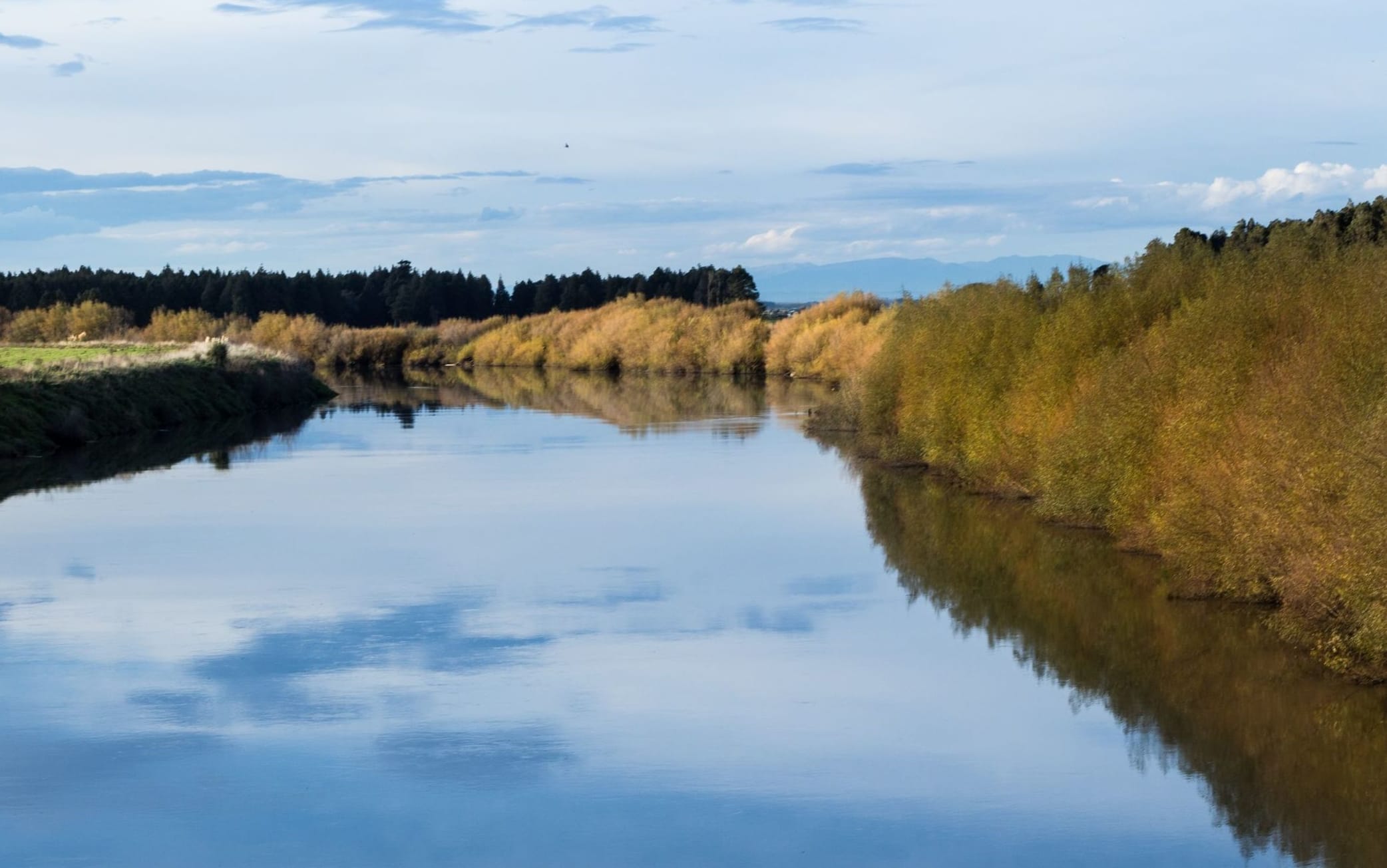 Looking up stream of the wide and still Manawatū river.
