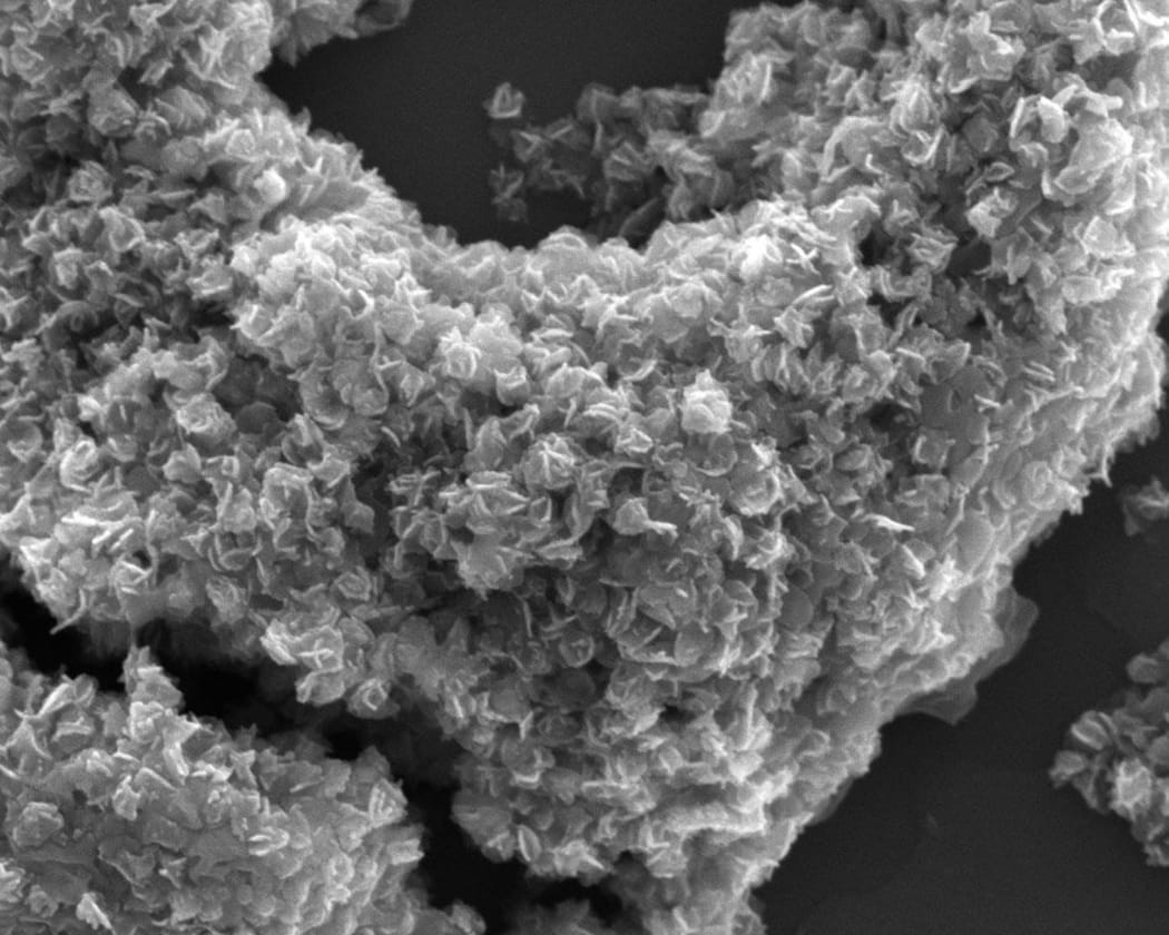 Cobalt-based nanoflowers through electron microscope