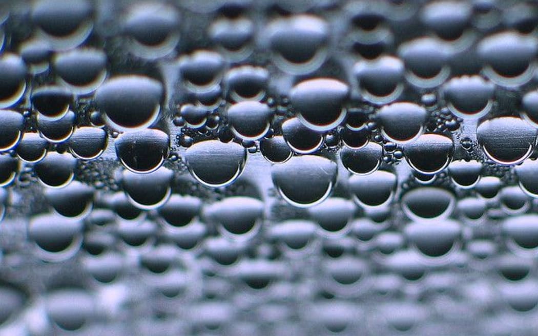 Water Drops