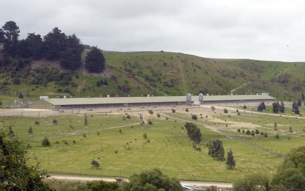 The government is confident its teams will be able eradicate the high pathogenic avian influenza or bird flu, which has been found at Hillgrove Egg Farm in Otago.