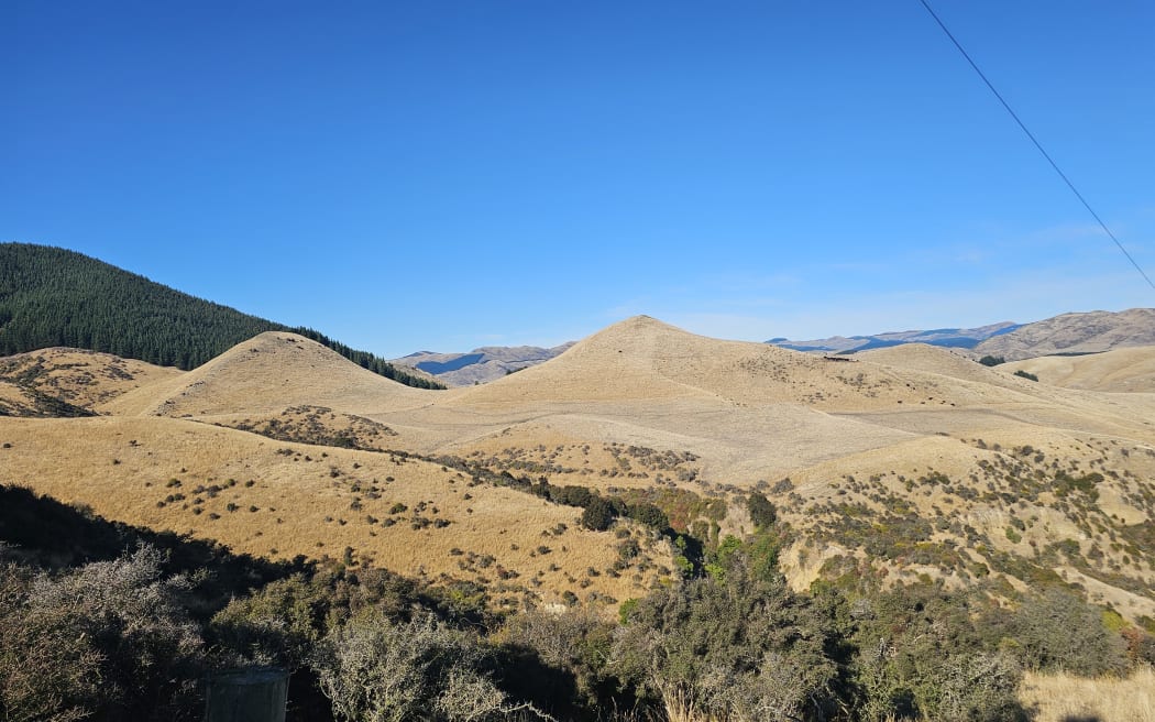 Drought on North Canterbury farm.