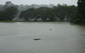 The pond which locals said was once and urban oasis.