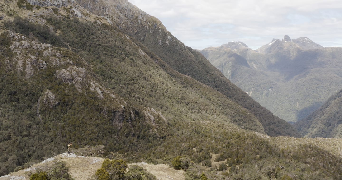 Tim Raemaekers tracking tagged Tokoeka Kiwi chicks for recruitment study, Shy Lake, Fiordland National Park