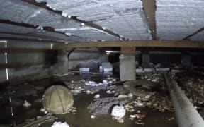 Underneath Dawn Robbie's Auckland 'swamp house'.