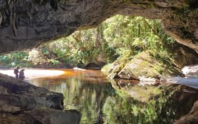 Conservation scene on West Coast - single use only