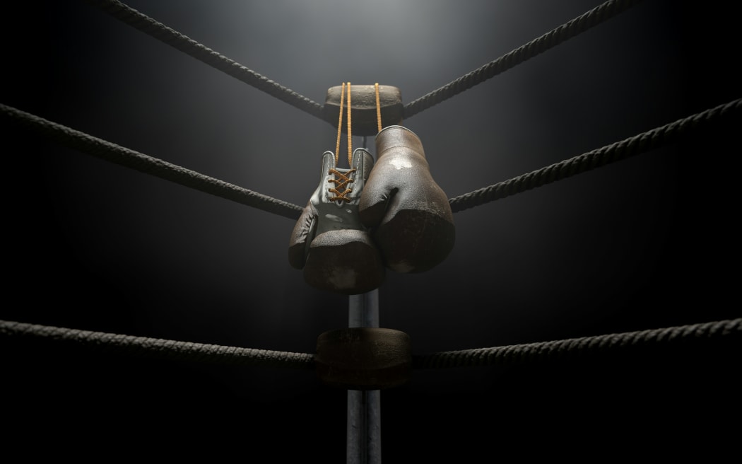 a pair of boxing gloves