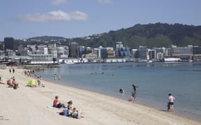 Summer Wellington