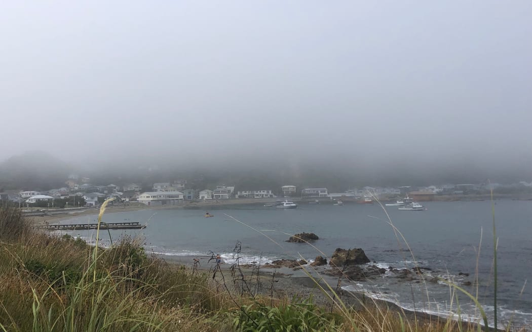 Fog set over Wellington's South Coast on 31 January, 2023, and caused delays and cancellations at the airport.
