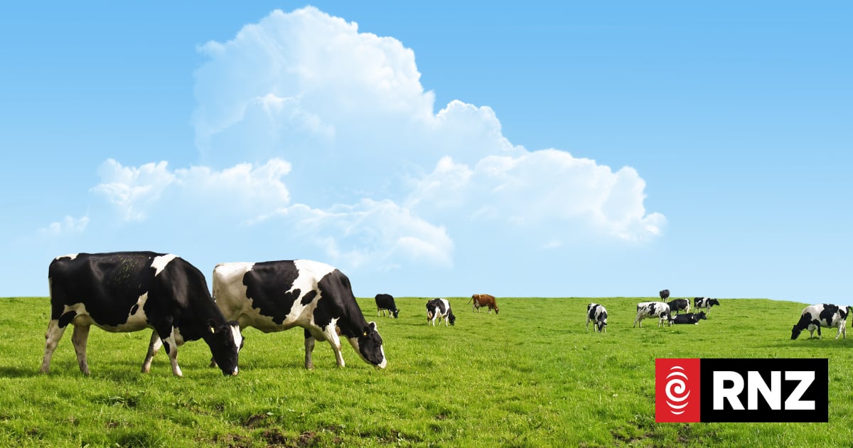 Almost 40 percent of dairy farmers not meeting fertiliser reporting rules