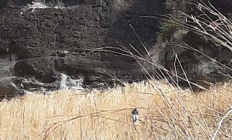 The area being investigated by police in the Nausori Highlands