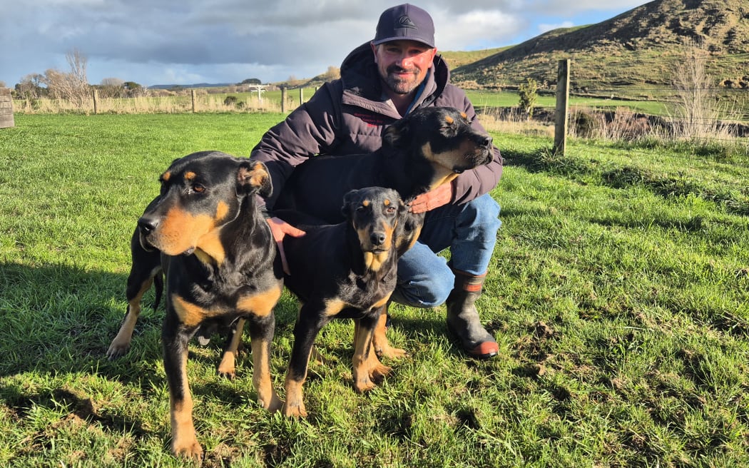 Miley is the third generation bred by Chris, pictured here with mum Roxy and sister Duchess, Dutch for short.