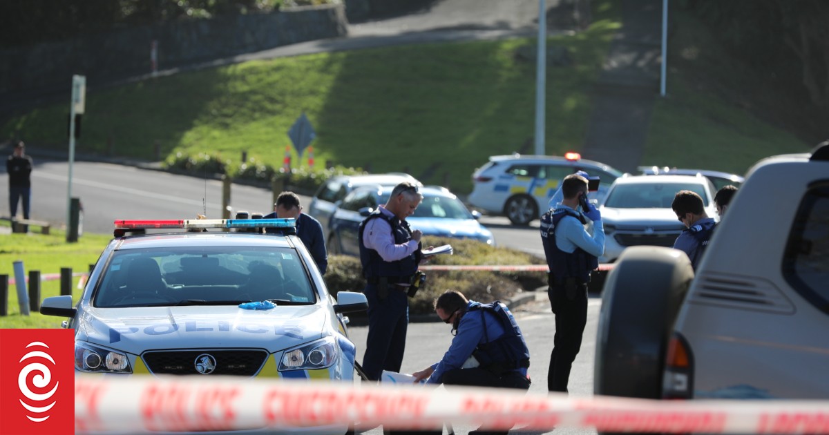 North Shore Stabbings: Man Found Not Guilty By Reason Of Insanity | RNZ ...