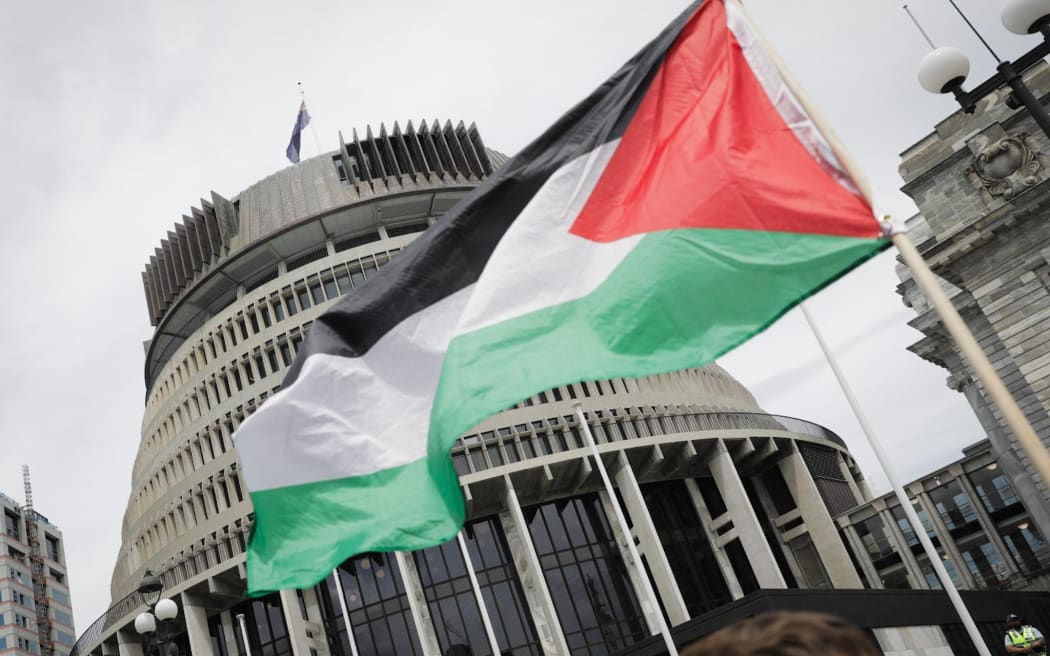 Protesters gathered at Parliament on 12 December to call for an immediate and permanent ceasefire in Gaza.