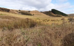 The usually lush Clutha Southland region is facing increasingly dry conditions.
