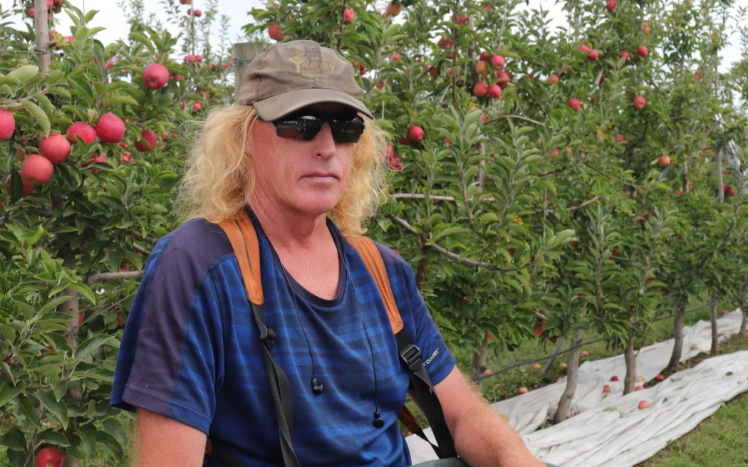 Hawke's Bay apple picker Gregor Booth.