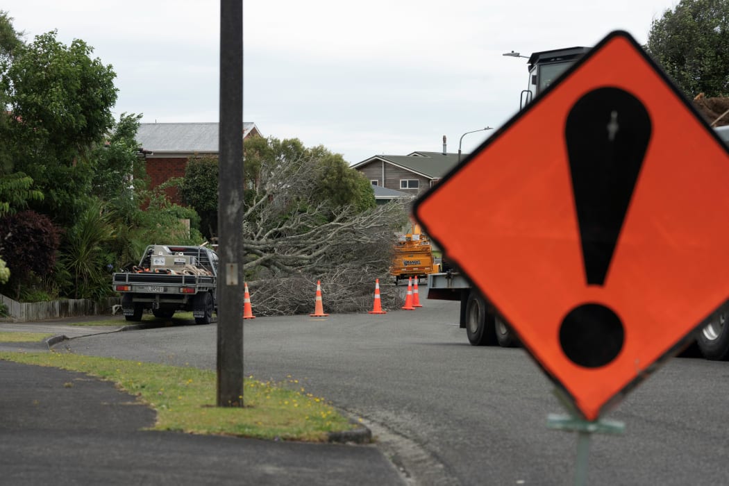 A tree covers a street in the New Plymouth suburb of Merrilands after strong winds today.