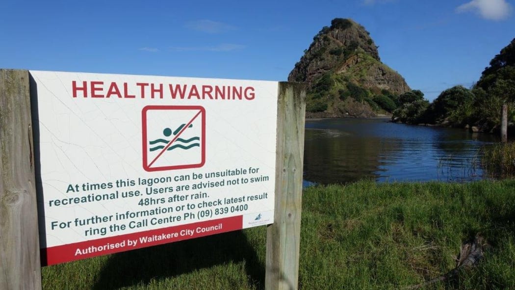 Piha beach and lagoon