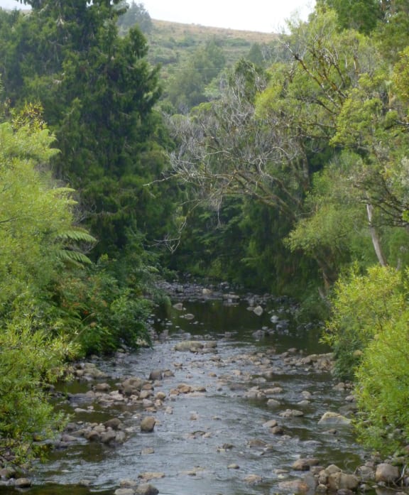 Wekaweka Valley