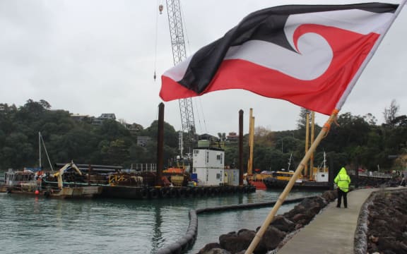 Marina protest at Kennedy Point on Waiheke Island.