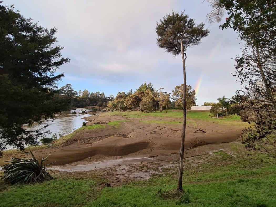 Ko Waitangi te Awa Trust planting project