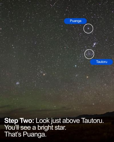 A visual guide for how to find the stars of Matariki.
