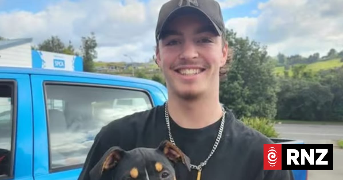 Flynn McBride, 20, named as man killed in crash south of Whangārei