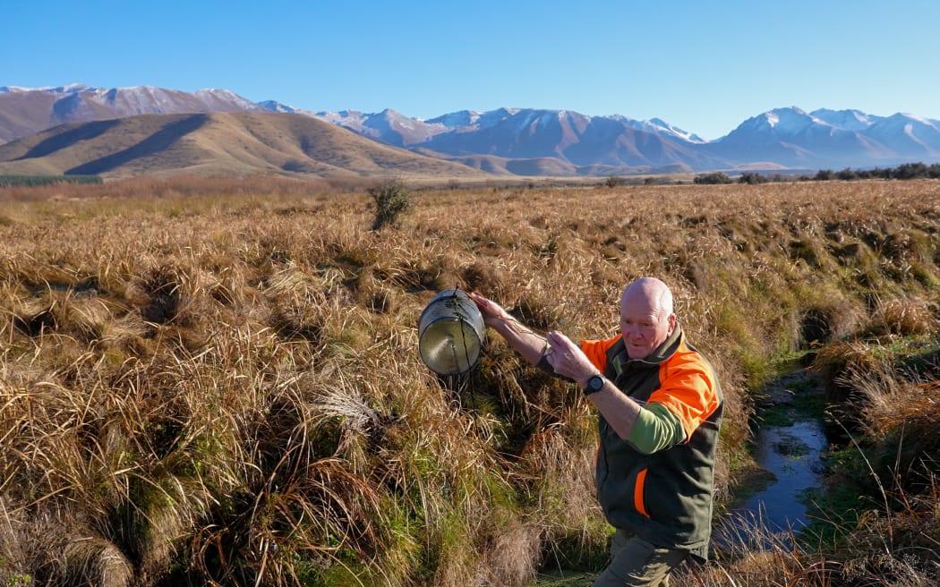 A man wearing a khaki and orange sweater wades in a small stream, holding up a mesh bucket. The stream is flowing through a tussock grassland with snow-capped mountains in the distance beneath a clear blue sky.