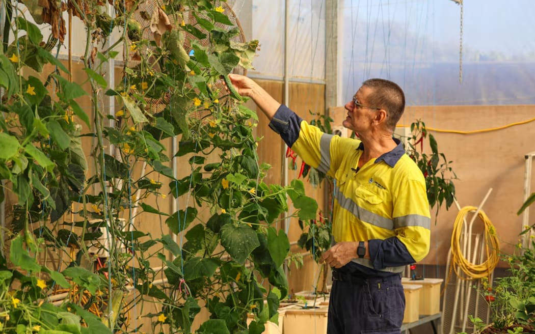 Ken Hawkins trials hydroponic techniques on a variety of crops.