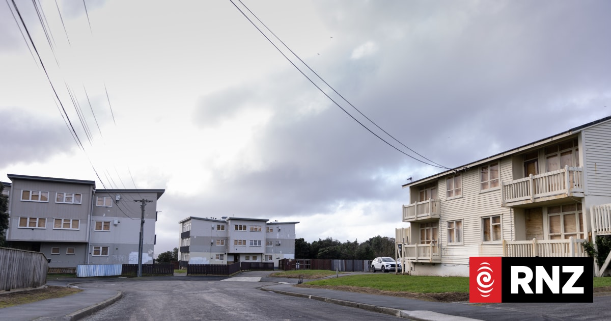 Kainga Ora plans to build 37 new state homes in Wellington