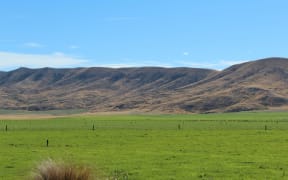 Irrigation in the Mackenzie Basin.