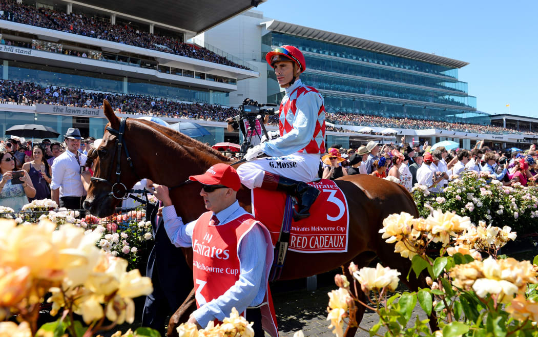 Red Cadeaux second in 2013 Melbourne Cup