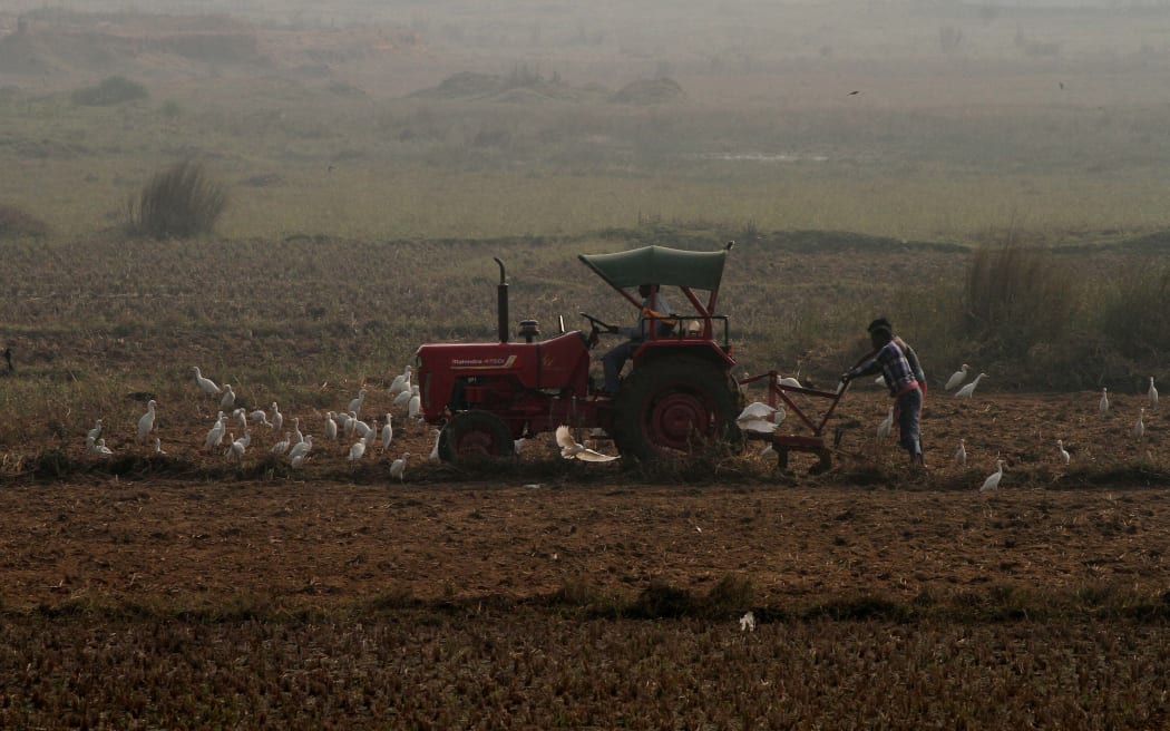 Birds surrounding a tractor in an agricultural field ploughing in the outskirts of the eastern Indian state Odisha's capital city Bhubaneswar on 13 January, 2019.