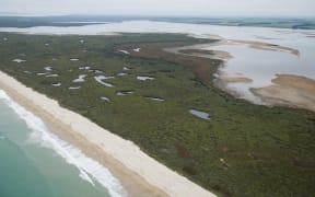 The Waituna Lagoon, located southeast of Invercargill, is home to native birds, fish and plants.