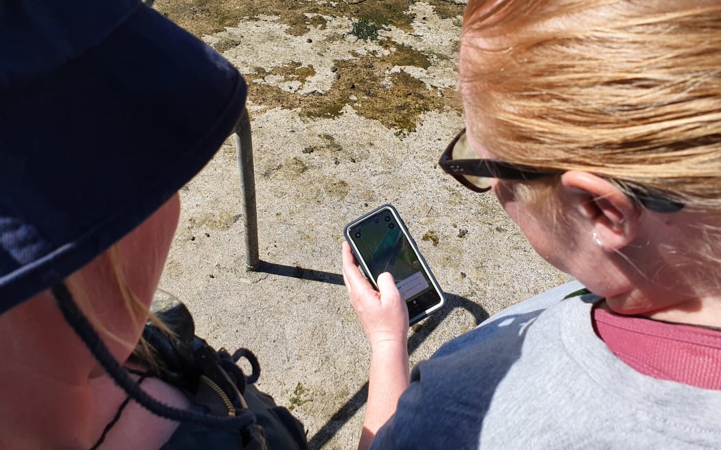 Petra and Lauren can remotely shift, virtually fence and monitor their cows' health, feed and behaviour via an app.