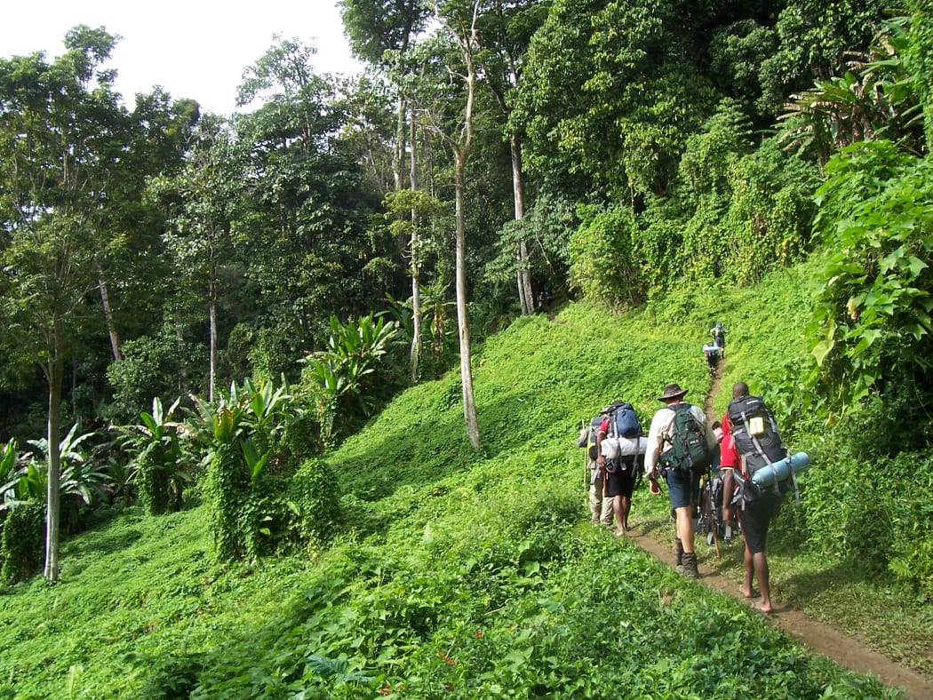 About 15 million years ago New Zealand would have had the same sort of climate and tropical vegetation that New Guinea has today.