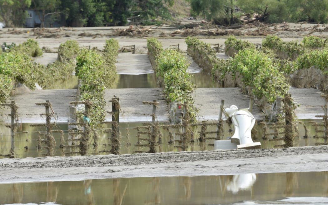 Hawke's Bay winery Linden Estate in the Esk Valley was damaged by Cyclone Gabrielle in February 2023.
